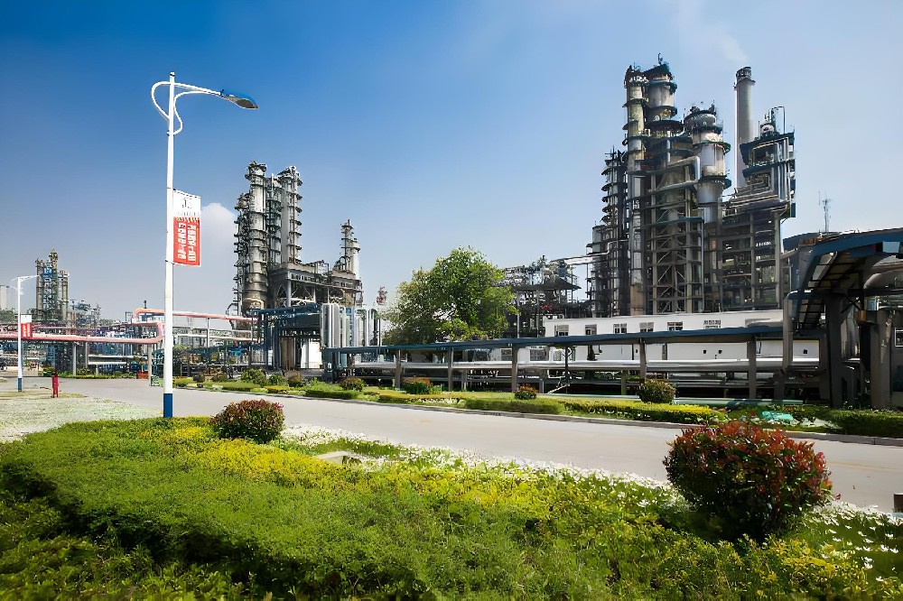 Petrochemical company